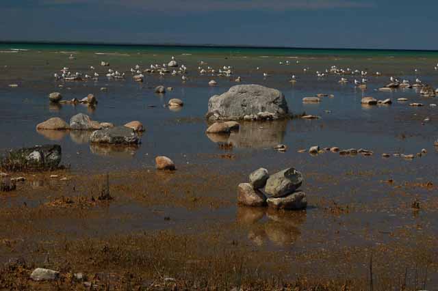 Tide's out at Grand Traverse Bay